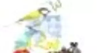 Masal İstasyonu Kitabı