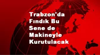 Trabzon'da Fındık Bu Sene de Makineyle Kurutulacak