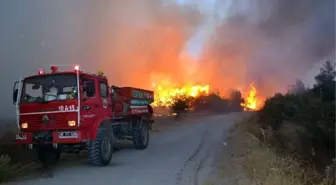 Balıkesir'deki Orman Yangını