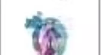 Ömer Hayyam Rubaileri Kitabı