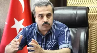 Orman Yangınları Arttı, Tahribat Alanı Azaldı