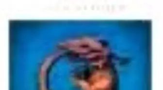 Türkiye 1643 Kitabı