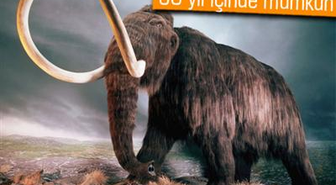 Koyun Dolly'yi Klonlayan Uzman: Mamut da Klonlanır