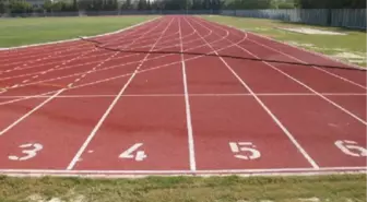 31 Atlete 2 Yıl Men Cezası