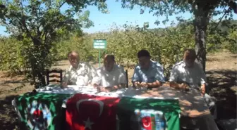 Alaplı'da Hasat Bayramı Düzenlendi