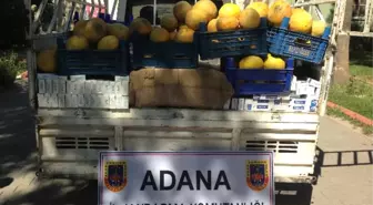 Adana'da Kaçak Sigara Operasyonu