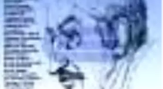 Yaşasın! İlhan Selçuk! Kalemi ve Senfonisi! Kitabı