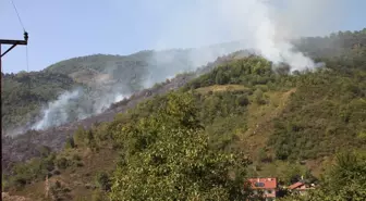 Zonguldak'ta Orman Yangını