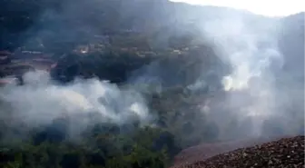 Zonguldak'taki Orman Yangını