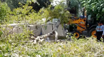 Isparta'da Kırılan Ağacın Dalı Kızılay Çadırına Düştü