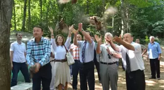 Kartepe'de 500 Sülün Doğaya Salındı