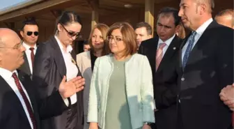 Bakan Şahin: Şiddeti Azaltırız, Ama Bitiremeyiz (2)