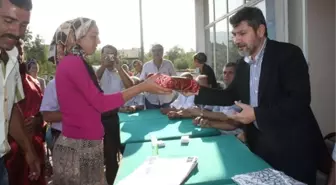 Çay'da Toplu Nikah Töreni