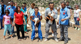 Lisinia'da Tedavi Edilen 8 Yabani Kuş Doğaya Bırakıldı