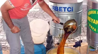 Meyan Kökü Her Derde Deva
