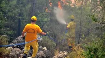 Antalya'daki Orman Yangını