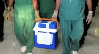 Gaziantep'te Organ Nakli