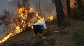 Kemer'de Orman Yangını