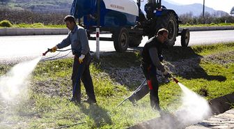 Selçuk'ta Haşere ile Mücadelede Hızlı Çözüm