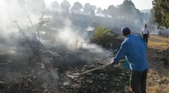 Afyonkarahisar'da Orman Yangını