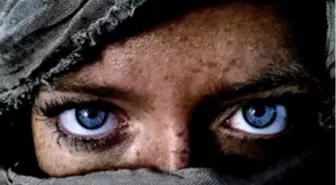 Bu Görüntüler İphone ve İpod'la Çekildi