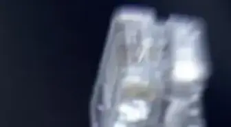 İnternet neden çöktü?