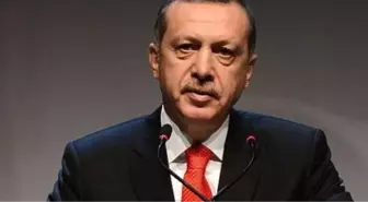 Mısır'dan Erdoğan'a İsrail Tepkisi: Batılı Ajan