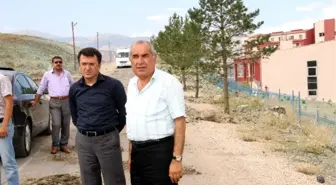 Suşehri'nde Yol Ortasında Kalan Ağaçlar, Parklara Nakil Edildi