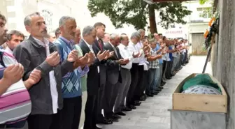 Trabzon'da Kaybolan Kadını Arama Çalışmaları Sürüyor (2)