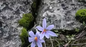 Türkiye'nin Canı Kampanyası Umut Veriyor