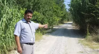 Vekil Devreye Girdi, Yol Islah Edildi