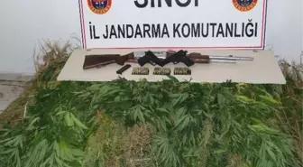 Jandarma 2 Bin 171 Kök Hint Keneviri Ele Geçirdi