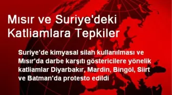 Mısır ve Suriye'deki Katliamlara Tepkiler