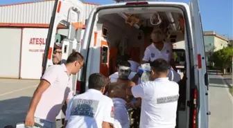 Orman Muhafaza Memuru Yaşam Savaşını Kaybetti