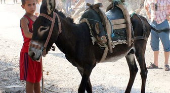 12 Yaşındaki Eşek Bakıcısı Oyuncu Oldu