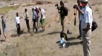 Karaya Vuran Balinanın İskeleti Müzeye