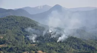 Piknik Ateşi 2 Hektarlık Alanı Kül Etti