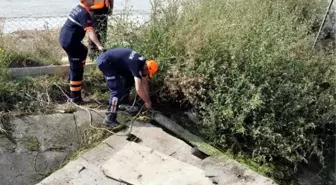 Eskişehir'de 2 Kardeş Kayboldu