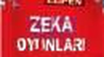 Zeka Oyunları Kitabı