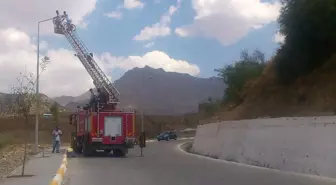 Sasonda Aydınlatma Direkleri Yenilendi