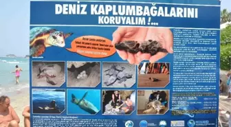 Kadınlar Denizinde Caretta Caretta Nöbeti