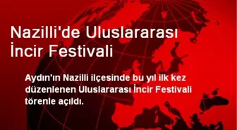 Nazilli'de Uluslararası İncir Festivali