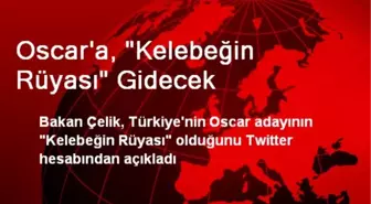 Oscar'a, 'Kelebeğin Rüyası' Gidecek