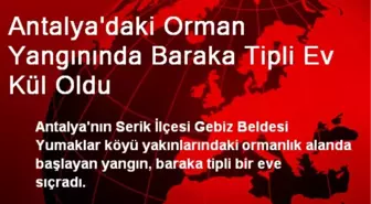 Antalya'daki Orman Yangınında Baraka Tipli Ev Kül Oldu