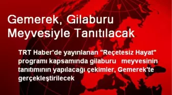 Gemerek, Gilaburu Meyvesiyle Tanıtılacak