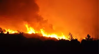 Alanya'daki Yangını Çıkaran Şahıs Gözaltına Alındı