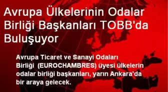 Avrupa Ülkelerinin Odalar Birliği Başkanları TOBB'da Buluşuyor