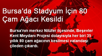 Bursa'da Stadyum İçin 80 Çam Ağacı Kesildi