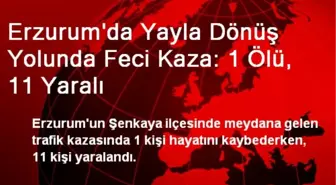 Erzurum'da Yayla Dönüş Yolunda Feci Kaza: 1 Ölü, 11 Yaralı