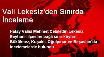 Vali Lekesiz'den Sınırda İnceleme